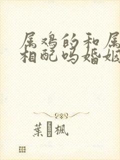 属鸡的和属龙的相配吗婚姻