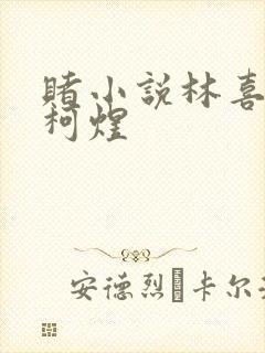 赌小说林喜朝和柯煜