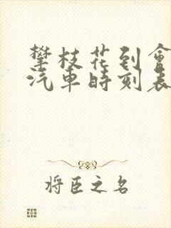 攀枝花到会理的汽车时刻表和票价