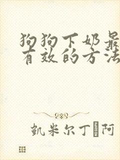 狗狗下奶最快最有效的方法