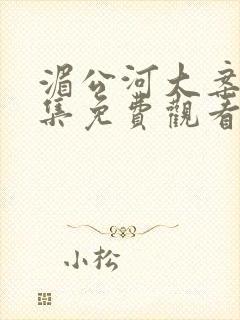 湄公河大案33集免费观看