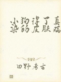 小狗得了真菌感染的皮肤病怎么办