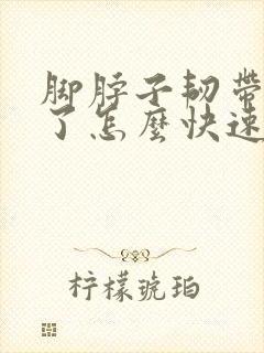 脚脖子韧带拉伤了怎么快速恢复封面