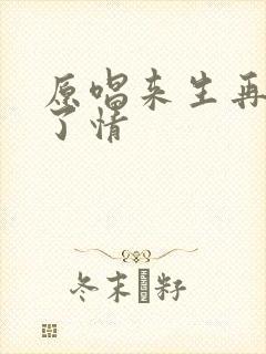 原唱来生再续未了情