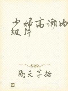 少妇高潮内射一级片