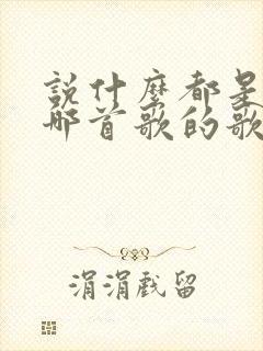 说什么都是错是哪首歌的歌词封面