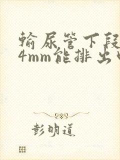 输尿管下段结石4mm能排出吗
