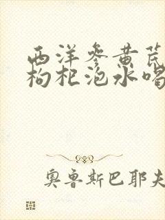 西洋参黄芪麦冬枸杞泡水喝能降血糖吗