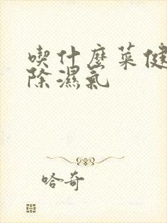 吃什么菜健脾胃除湿气封面