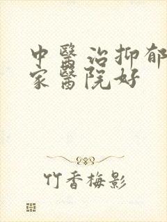 中医治抑郁去哪家医院好