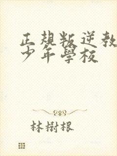 正规叛逆教育青少年学校