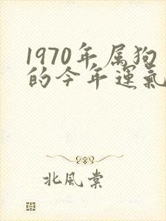 1970年属狗的今年运气如何封面