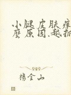 小腿皮肤痒是什么原因.越抓越痒封面