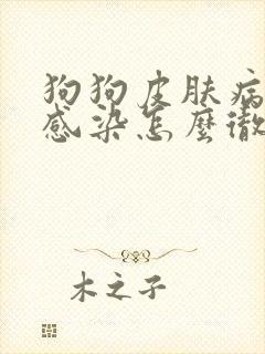 狗狗皮肤病真菌感染怎么彻底根除