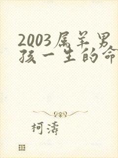 2003属羊男孩一生的命运和封面