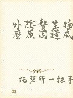 外阴赘生物是什么原因造成的