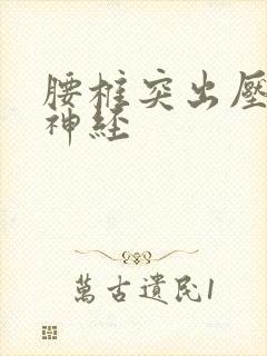 腰椎突出压迫的神经