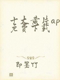 十大黄片app免费下载