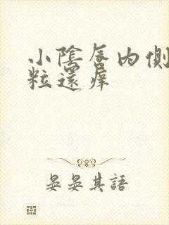 小阴唇内侧长颗粒还痒