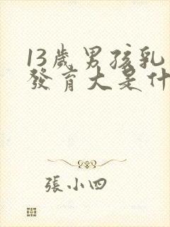 13岁男孩乳房发育大是什么原因