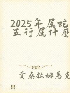 2025年属蛇五行属什么的命