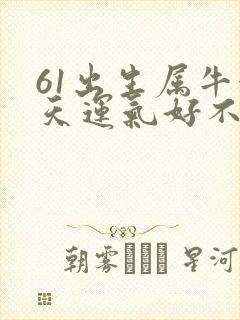 61出生属牛今天运气好不好牛