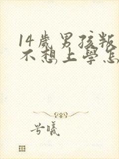 14岁男孩叛逆不想上学怎么办封面