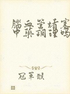 脑血管堵塞能用中药调理吗