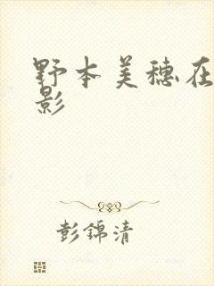 野本美穗在线电影封面