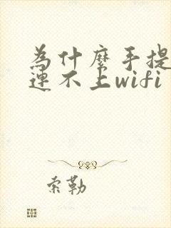 为什么手提电脑连不上wifi