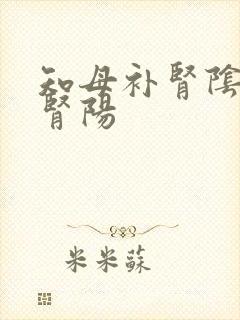 知母补肾阴还是肾阳