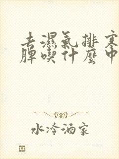 去湿气排寒毒健脾吃什么中成药