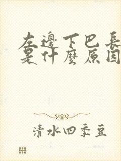 左边下巴长痘痘是什么原因引起的