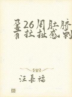 孕26周肚脐眼有拉扯感刺痛封面