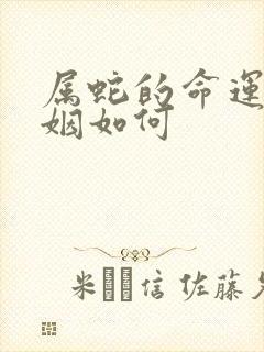 属蛇的命运与婚姻如何