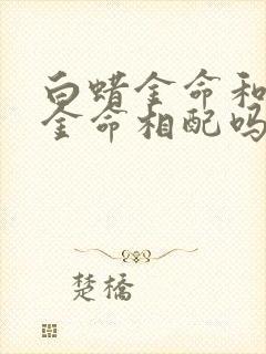 白蜡金命和白蜡金命相配吗封面