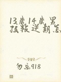 13岁14岁男孩叛逆期怎么办