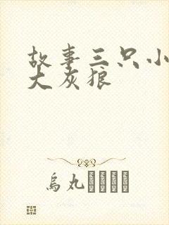 故事三只小猪与大灰狼封面