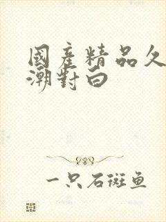国产精品久久高潮对白封面