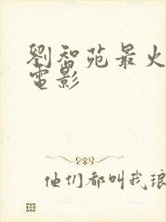 刘智苑最火十部电影