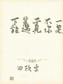 下辈子不一定还能遇见你是什么歌词