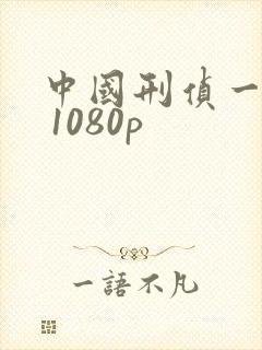 中国刑侦一号案 1080p