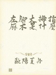 左脚大拇指有点麻木是什么原因