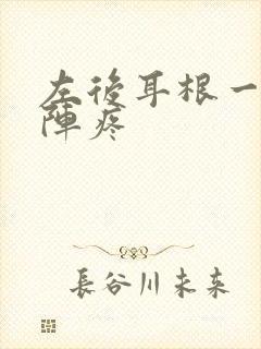 左后耳根一阵一阵疼