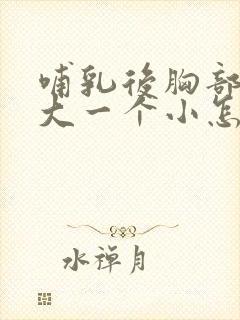 哺乳后胸部一个大一个小怎么办啊封面