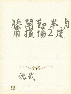 膝关节半月板后角损伤2度