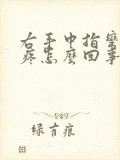 右手中指弯曲就疼怎么回事封面