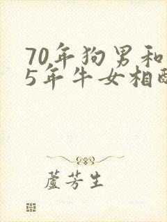 70年狗男和85年牛女相配吗封面