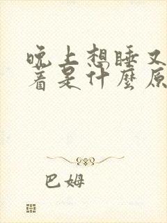 晚上想睡又睡不着是什么原因