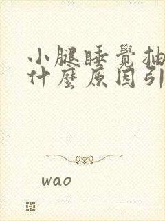 小腿睡觉抽筋是什么原因引起的